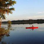 Bull Headley Landing